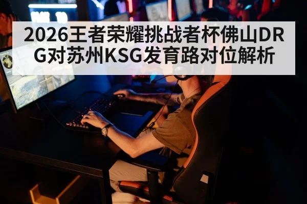2026王者荣耀挑战者杯佛山DRG对苏州KSG发育路对位解析