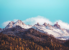 167棋牌 下載-萨韦利亚入院 家人：马拉多纳去世对他打击极大