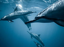 167棋牌-崔康熙：虽然情况很困难 但后面比赛一定全力以赴